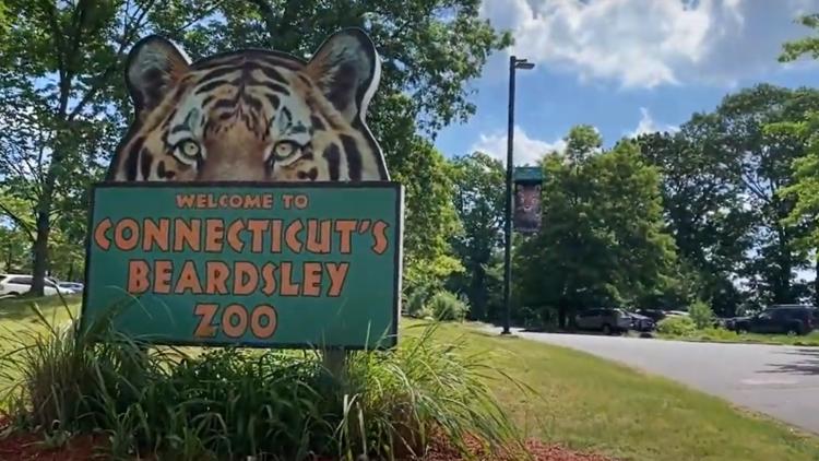 Beardsley Zoo Bridgeport CT Fairfield County Dumpster Rental