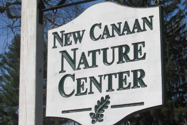 New Canaan Nature Center Fall Fair Residential Dumpster Rental New Canaan CT