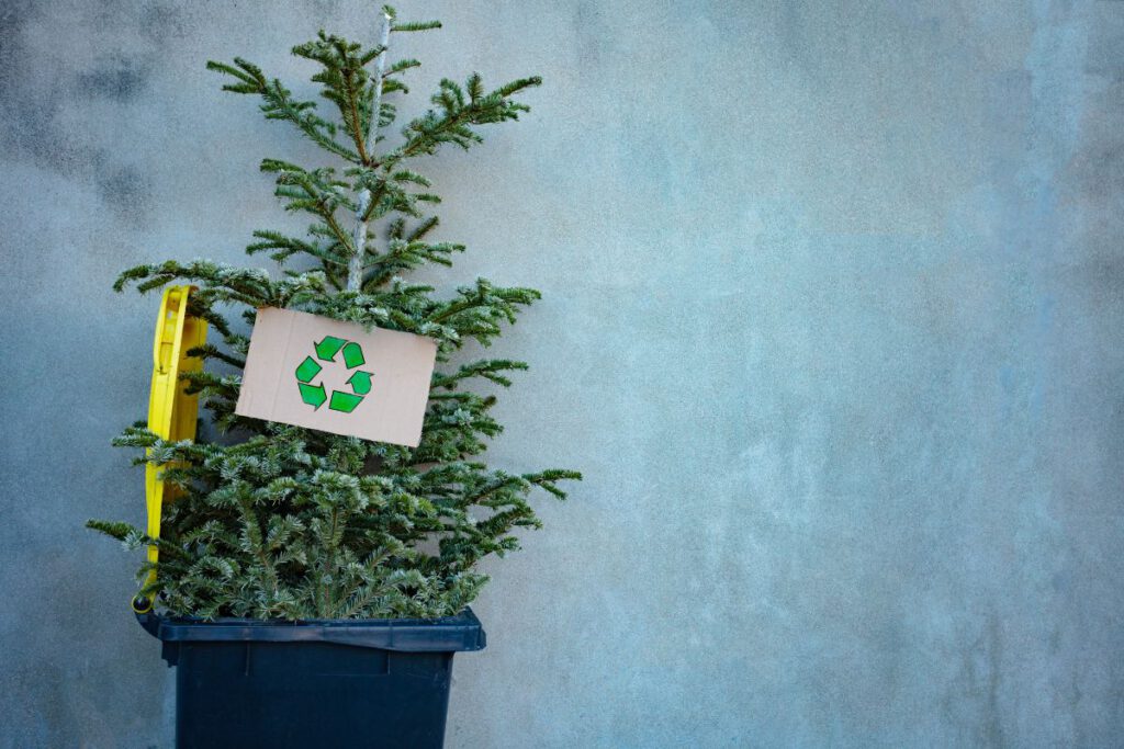 Affordable Christmas Tree Disposal in Danbury, CT - Fairfield County Dumpster Rental Fairfield, CT