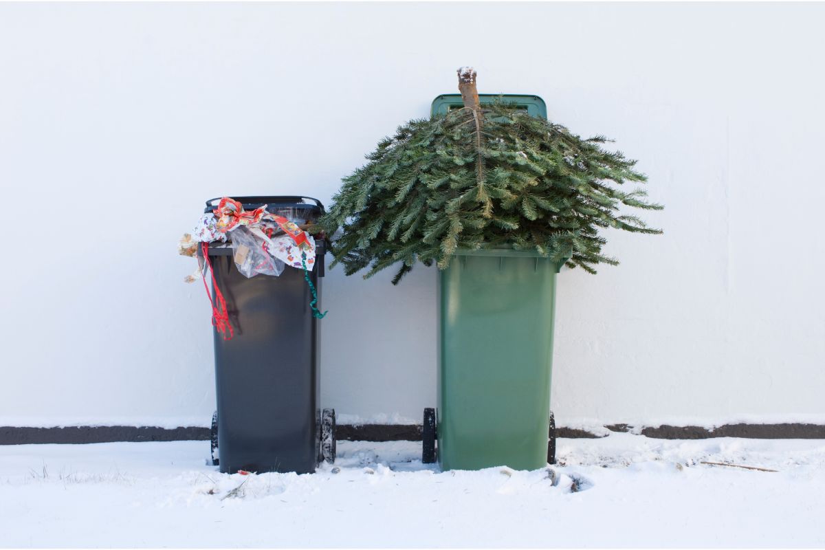 How to Dispose of your Christmas Tree - Fairfield County Dumpster Rental Fairfield CT