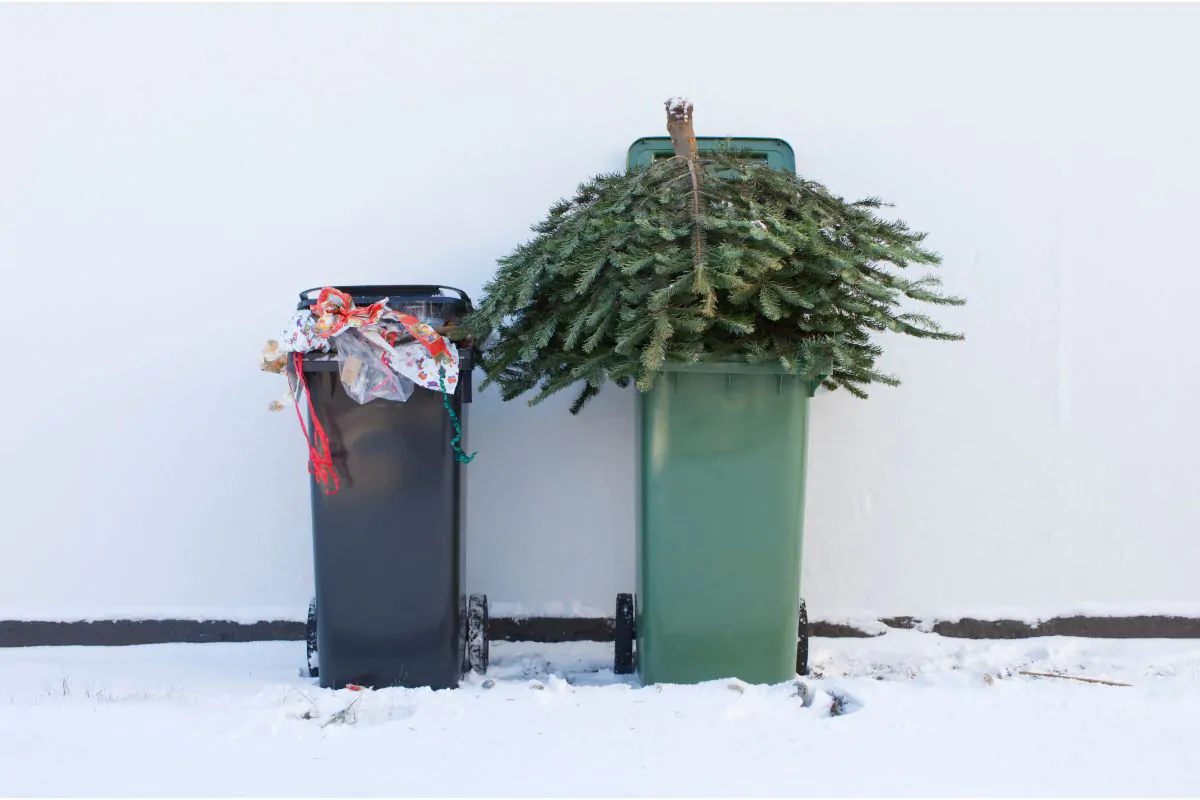 How to Dispose of your Christmas Tree - Fairfield County Dumpster Rental Fairfield CT